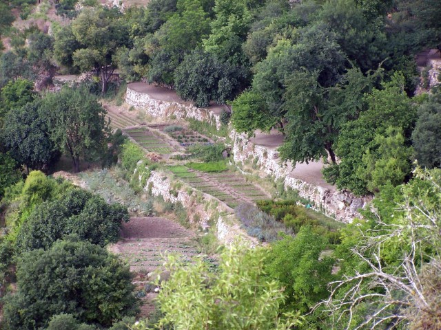 Sataf Nod - In the Sorek Valley,  Local terraced gardens