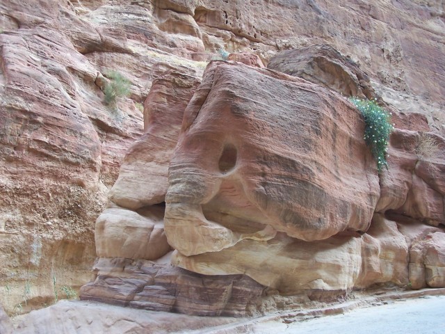 Petra - natural formations abound - my figmant looks at this and sees the front of two salmon swiming side by side.