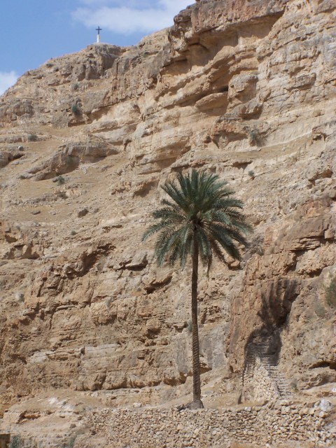 Wadi Qilt - I liked the contrast,  The palm,  low in the canyon,  and looking tall while the cross is way up at the top of the canyon, High and lifted up.