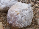 Dead Sea - Salt encrusted rock