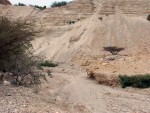 EnGedi - walking up the wadi - It's dry.