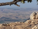 Mt Arbel