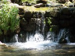 Banias - springs of living water