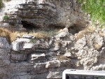 Garden Tomb - Golgotha, the Skull