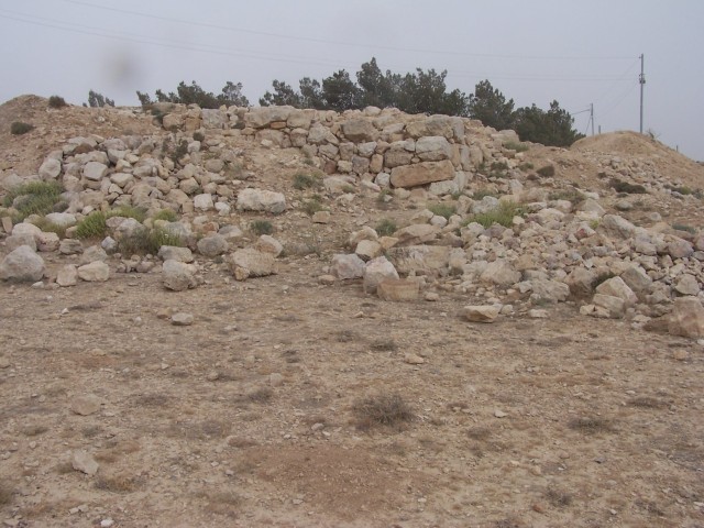 Bozrah - not a lot of excavation here,  but ask me about my pottery shard found here,  at the capital of Edom,  on my birthday, 2004.