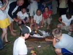 En Gev - Evening chorus & s'mores - yum yum