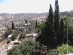 City of David